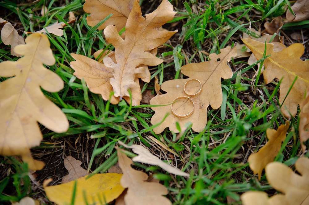 Eheringe im Herbstlaub